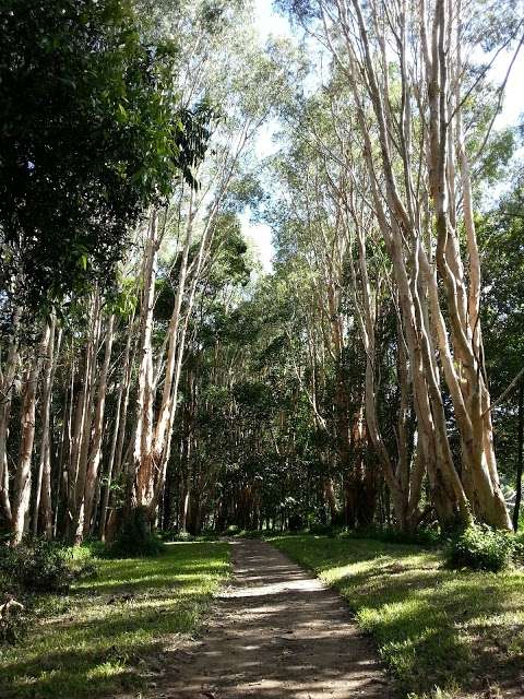 Photo: Kuranda Rainforest Tours