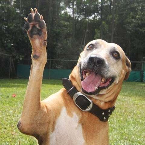 Photo: Kuranda Pet Resort